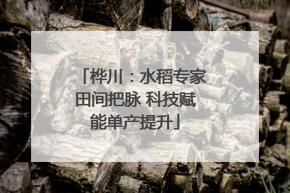 桦川：水稻专家田间把脉 科技赋能单产提升